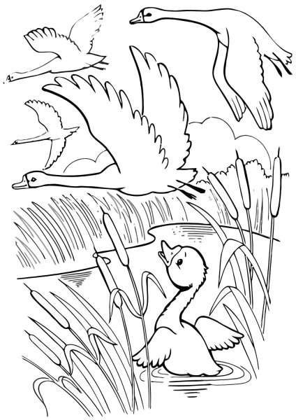 Мамин-Сибиряк серая шейка разукрашка