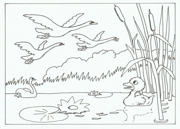 Раскраска к рассказу серая шейка мамин Сибиряк