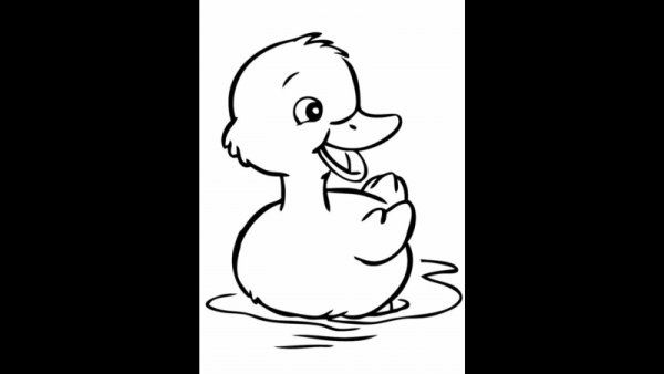 Утка на воде карандашом