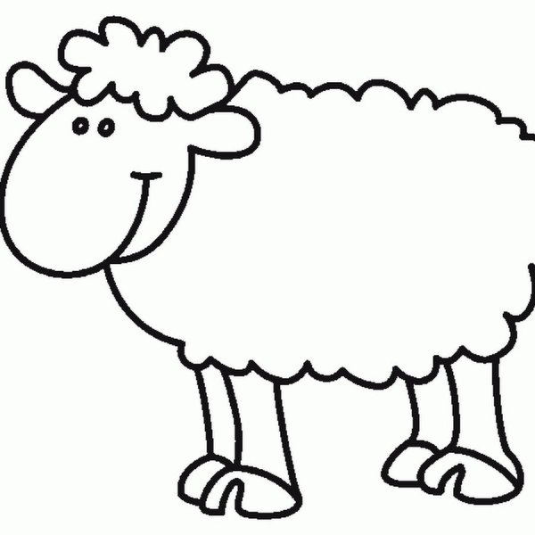 Раскраска барашек для детей
