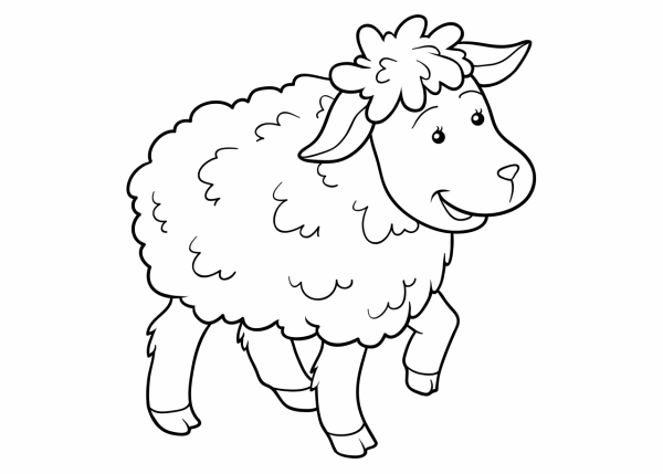 Черно белая Овечка для детей