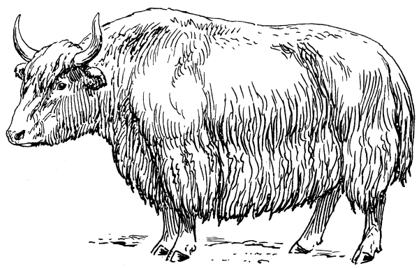 Як раскраска