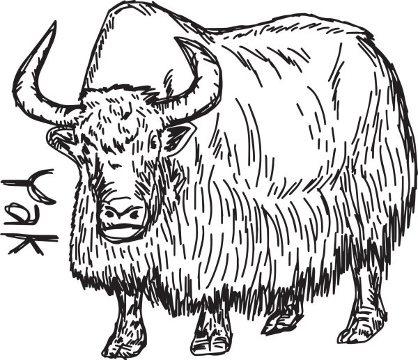 Векторное изображение яка