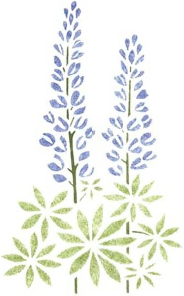 Люпин карандашом