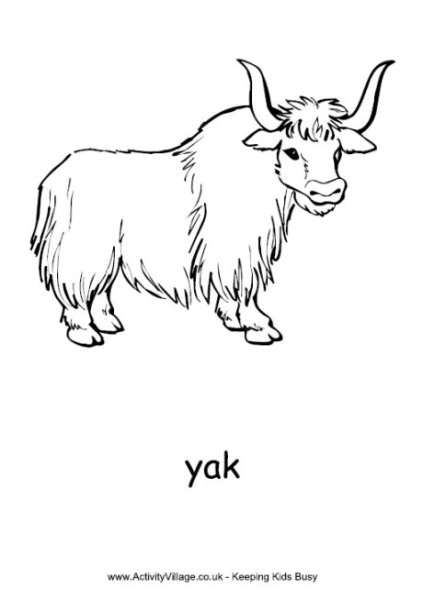 Yak раскраска