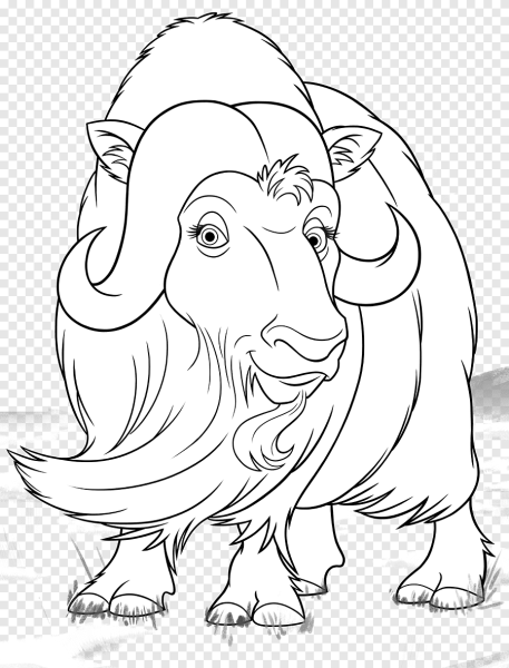 Овцебык раскраска для детей