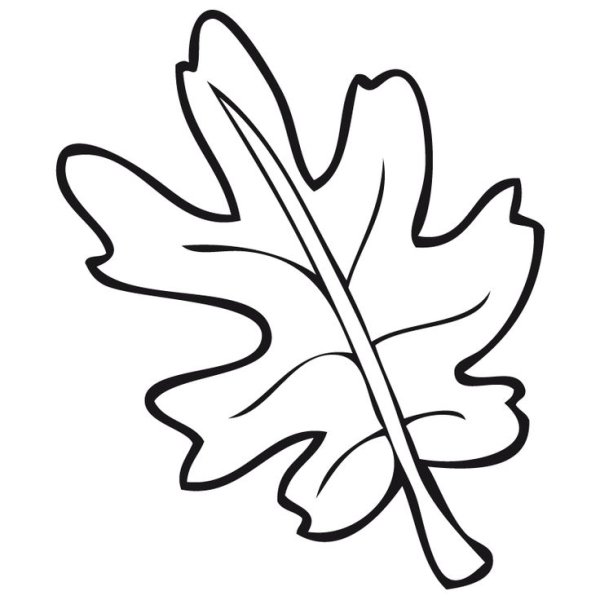 Лист дуба раскраска
