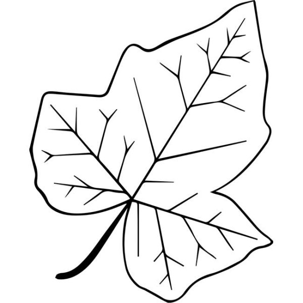 Трафареты листиков осенних