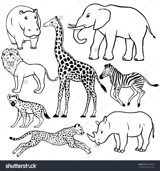 Африка раскраска для детей