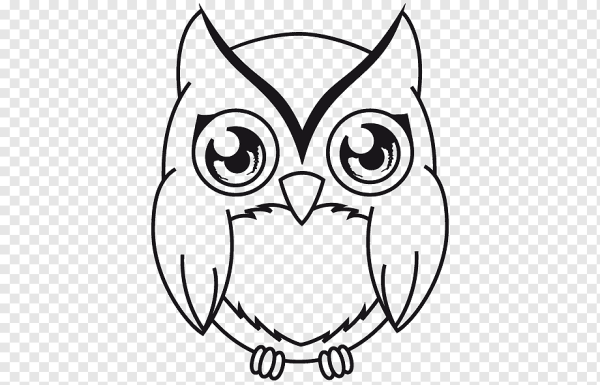 Векторное изображение Совы