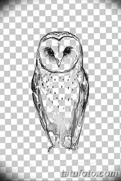 Сова рисунок