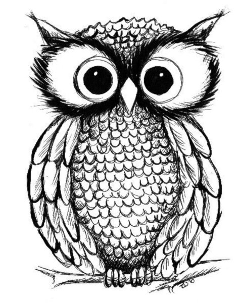 Сова Графика