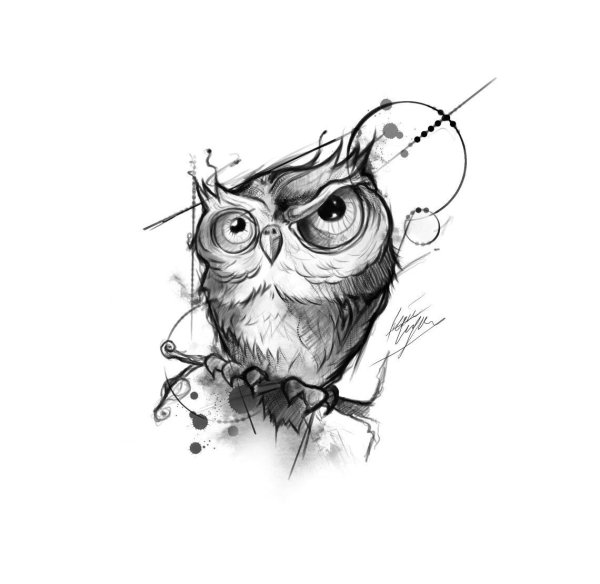 Сова тату эскиз
