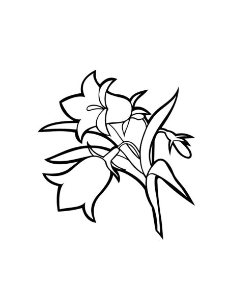 Колокольчик цветок силуэт