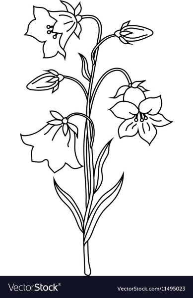 Колокольчик карандашом