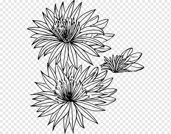 Василек Графика