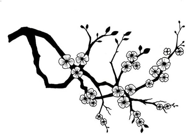 Ветка Сакуры черно белая