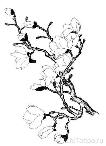 Ветка Сакуры в графике