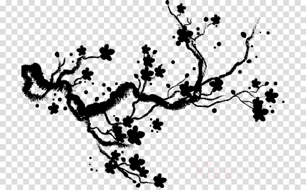 Ветка Сакуры вектор