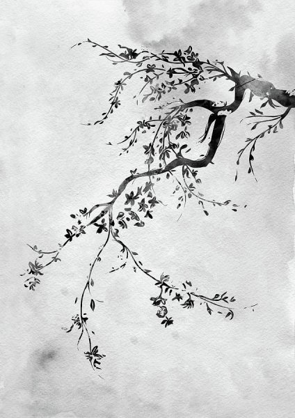 Ветка Сакуры черно белая