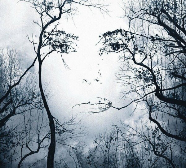 Предчувствие фильм 2007