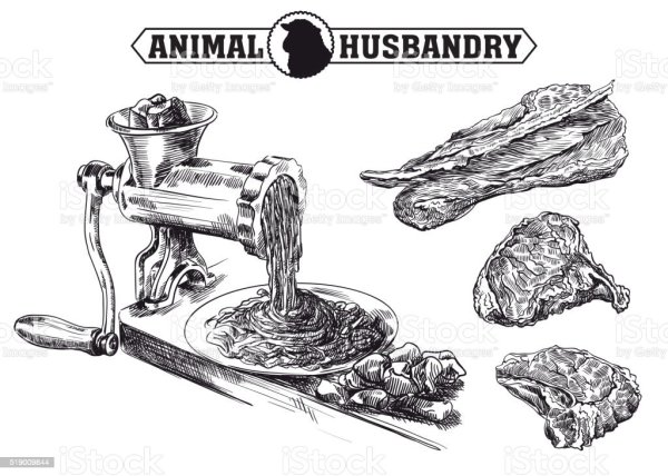Мясорубка раскраска