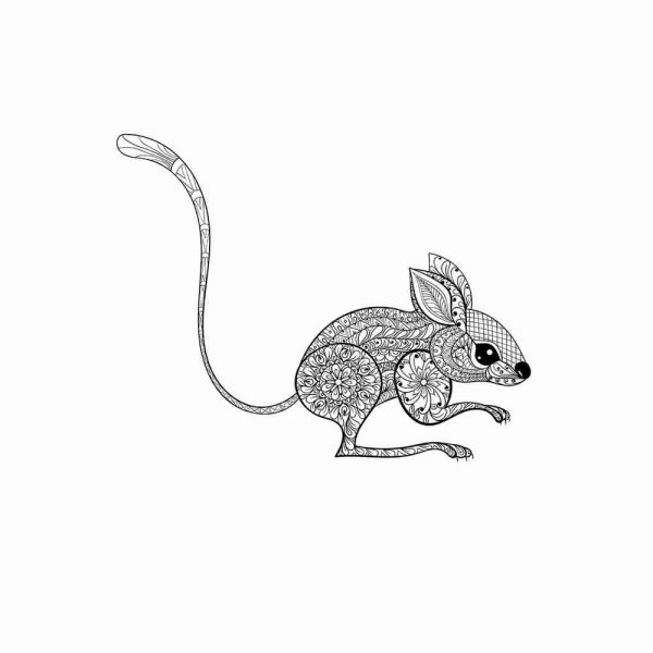 Тушканчик раскраска