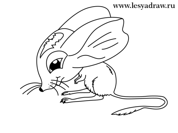 Тушканчик рисунок