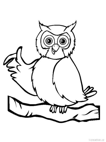 Сова раскраска