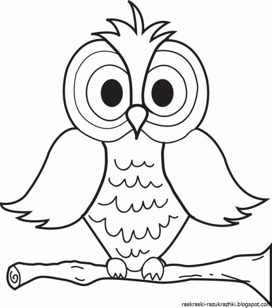 Сова раскраска