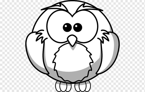 Сова с книгой раскраска