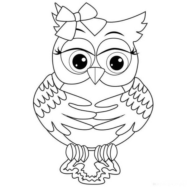 Умная Сова раскраска