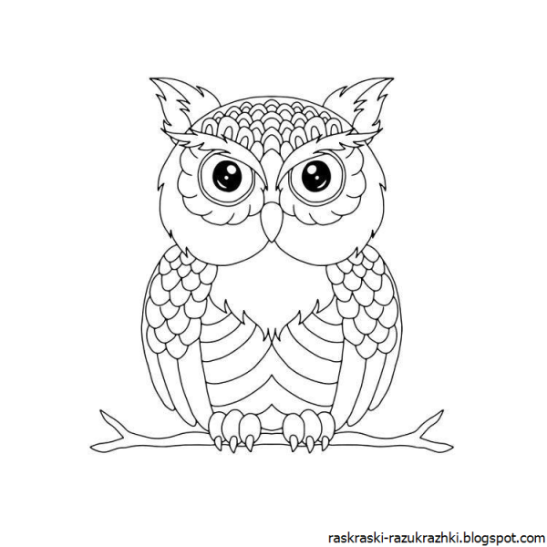 Мудрая Сова раскраска