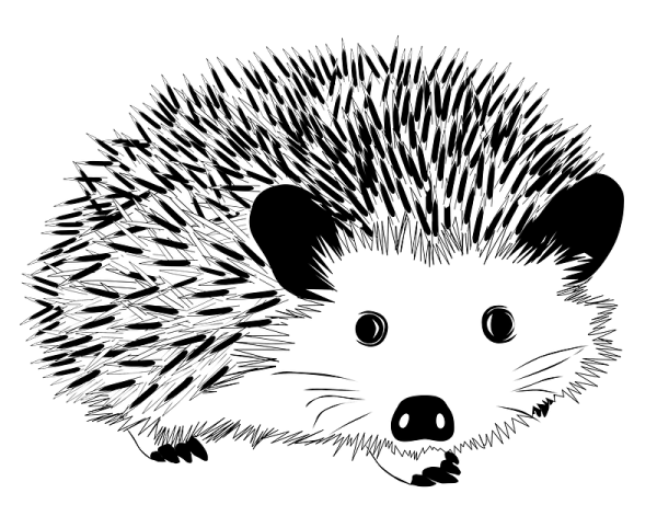 Даурский еж раскраска