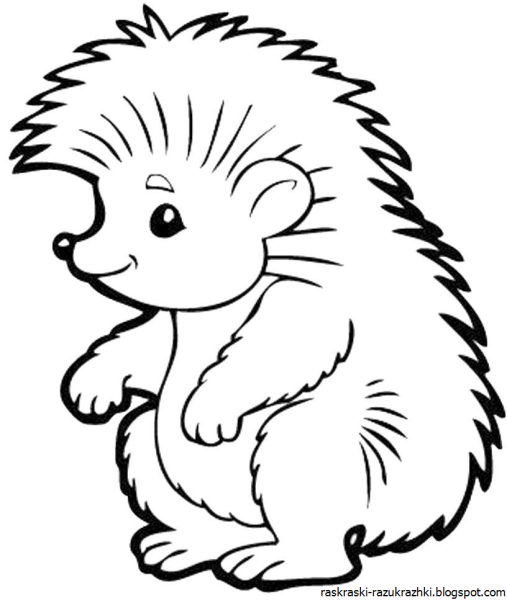 Раскраска Ежик для детей 2-3 лет