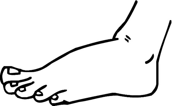 Стопа раскраска