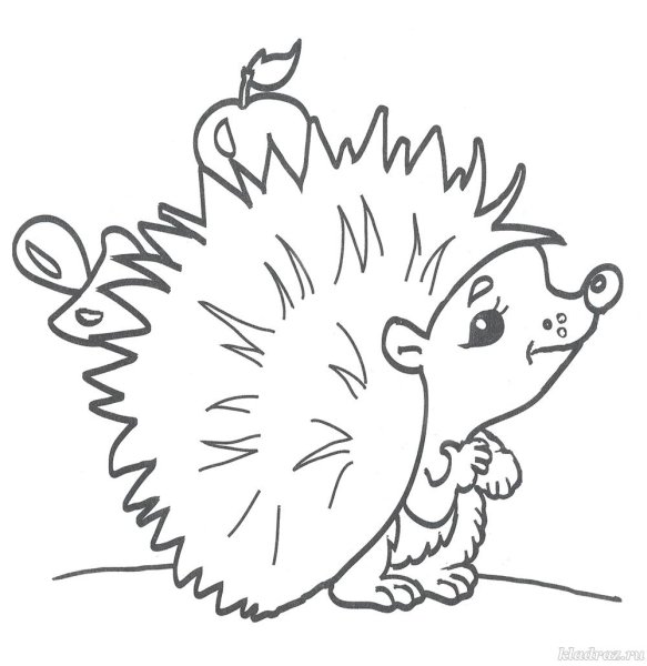 Ежик с карандашом раскраска