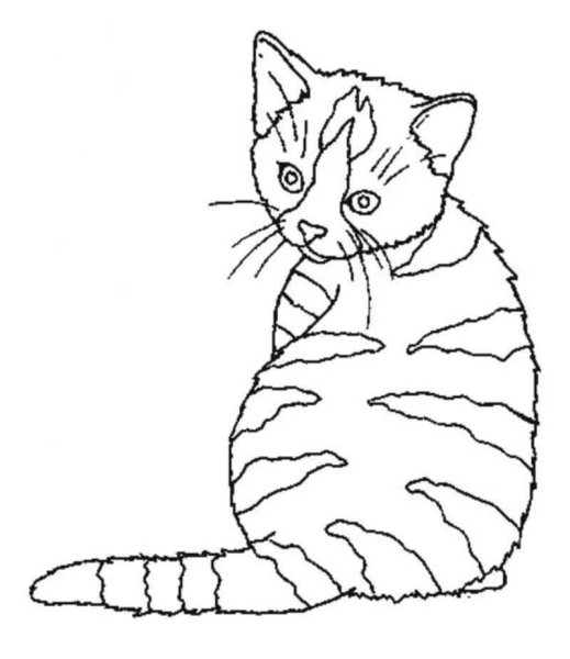 Раскраска кот