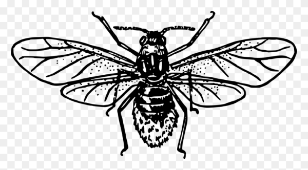 Муха трафарет