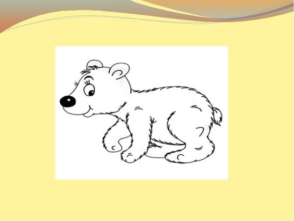 Эмблема белый Медвежонок