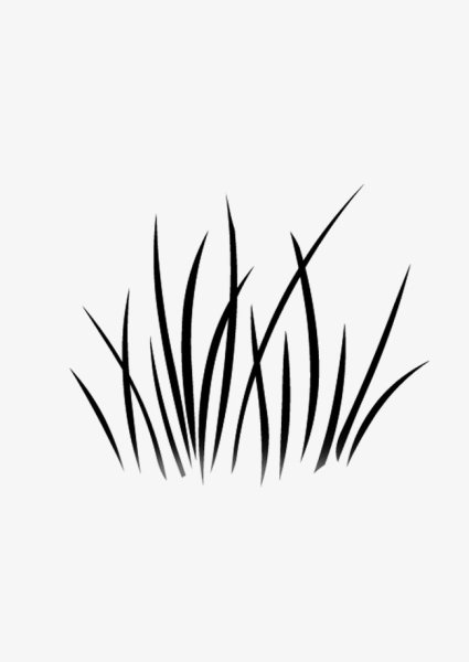 Травка черно белая