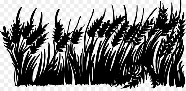 Травинки силуэт