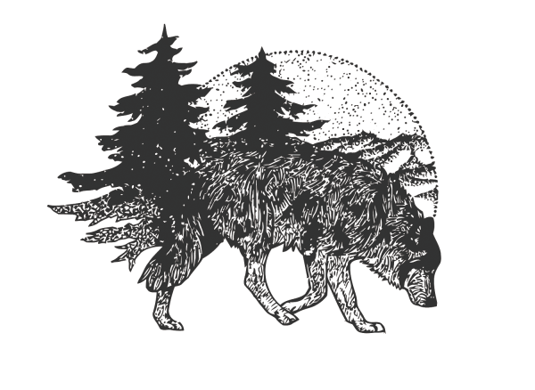 Силуэт волка в лесу