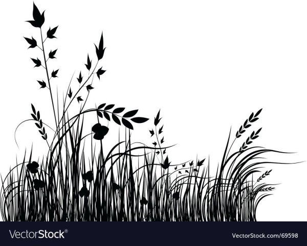 Трава рисунок