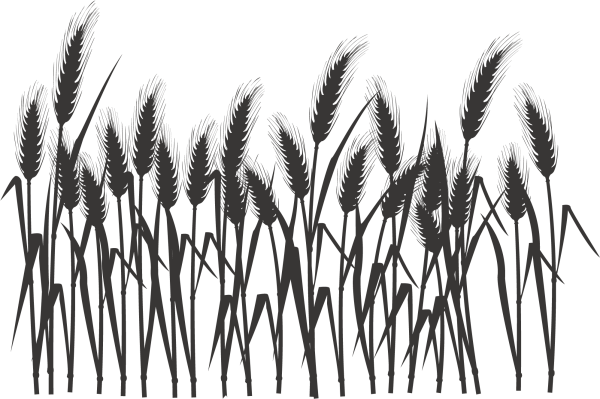 Колосок силуэт