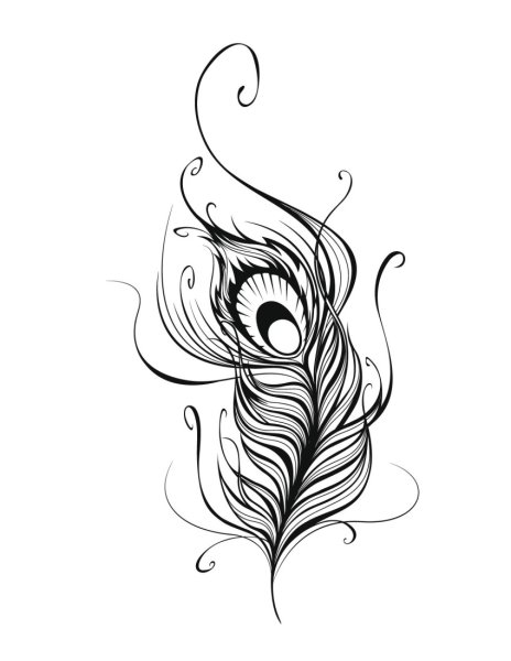 Тату перо павлина эскиз