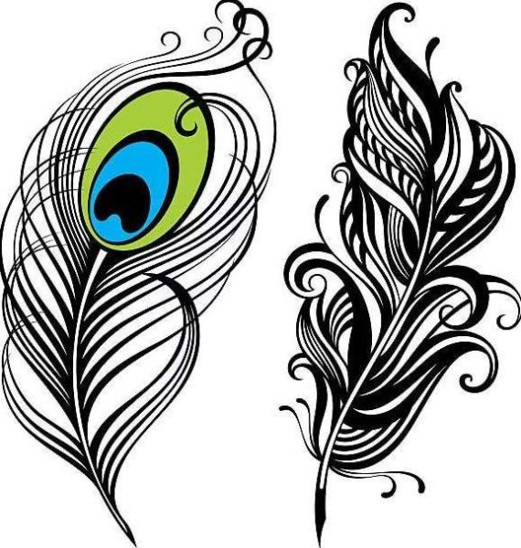 Перо Жар птицы вектор