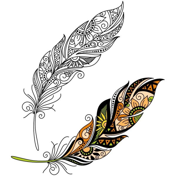 Орнамент перья