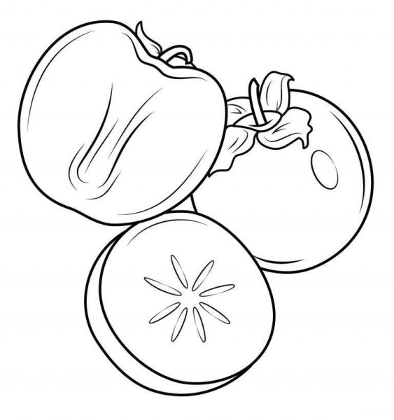 Хурма раскраска для детей