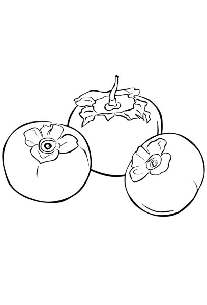 Хурма черно белая